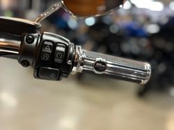2020 HARLEY-DAVIDSON FLDE DELUXE (107)