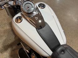 2020 HARLEY-DAVIDSON FLDE DELUXE (107)