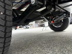 2025 Crusader Musketeer Warrior