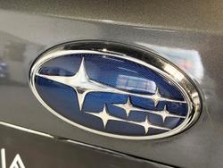 2024 Subaru Forester 2.5i-S S5 MY24 AWD Magnetite Grey