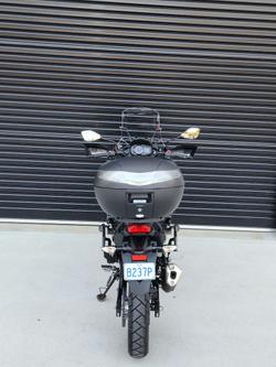 2022 Kawasaki Versys-X 300 (KLE300C) Versys Green