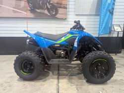 CFMOTO C Force 110 SE