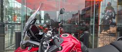 2025 Triumph TIGER 900 GT PRO RED
