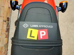 2024 HARLEY-DAVIDSON X 500 ROAD ORANGE