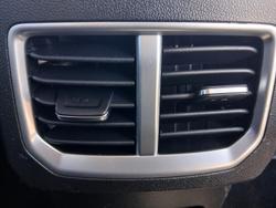 2023 GWM Ute Cannon-L CC