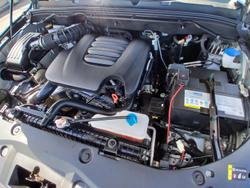 2023 GWM Ute Cannon-L CC