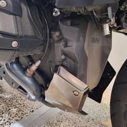 2025 BMW R 1300 R Performance