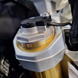 2025 BMW R 1300 R Performance