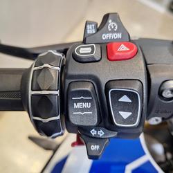 2025 BMW R 1300 R Performance