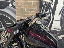 2025 Harley-Davidson Breakout 117 (FXBR) Softail