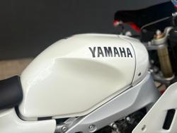 2024 Yamaha XSR900 GP
