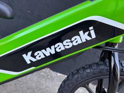 2025 Kawasaki Kawasaki Elektrode 16 (KSK030ARFNN) GREEN