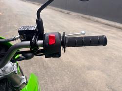 2025 Kawasaki KLX150 GREEN