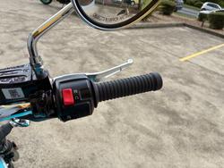 2020 Indian SCOUT ARIZONA TURQUOISE/PEARL WHITE