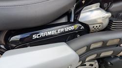2022 Triumph SCRAMBLER 1200 XE Green