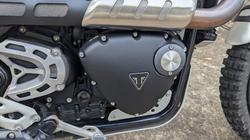 2022 Triumph SCRAMBLER 1200 XE Green