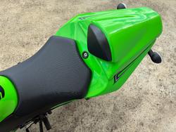 2012 Kawasaki NINJA 250R SE (EX250J) Green