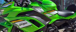 2025 Kawasaki 2025 KAWASAKI 650CC NINJA 650 KRT EDITION GREEN