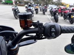 2019 Indian FTR 1200 S RED STEEL GRAY Red