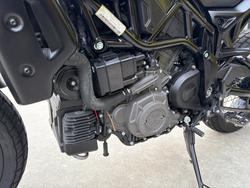 2019 Indian FTR 1200 S RED STEEL GRAY Red