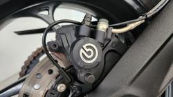 2023 Triumph Street Triple R 765 Street Triple Grey