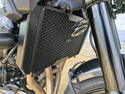 2026 Kawasaki Z900 (ZR900STFNN) Green