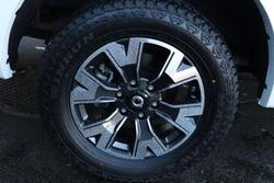 2021 GWM Ute Cannon-X