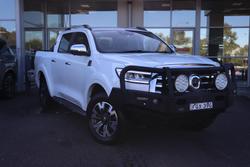 2021 GWM Ute Cannon-X