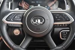 2022 GWM Ute Cannon-X