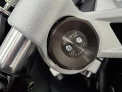 2026 Triumph DAYTONA 660 (LAMS) Black