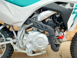 2025 HONDA CRF110F MINI BIKE WHITE