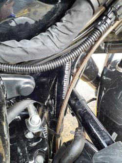 2026 Triumph Speed 400 Speed Four