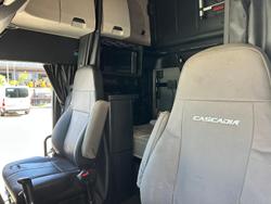 2021 Freightliner Cascadia 126 WHITE