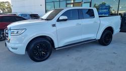 2021 GWM Ute Cannon