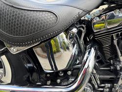 2017 HARLEY-DAVIDSON FLSTN SOFTAIL DELUXE Black