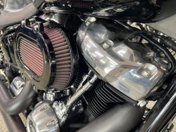 2019 Harley-Davidson Slim 107 (FLSL) Softail Black