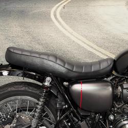 2021 Kawasaki W800 STREET (EJ800) Black