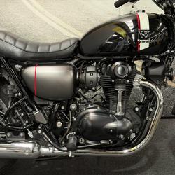 2021 Kawasaki W800 STREET (EJ800) Black