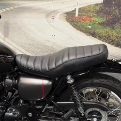 2021 Kawasaki W800 STREET (EJ800) Black