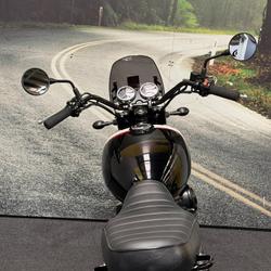 2021 Kawasaki W800 STREET (EJ800) Black