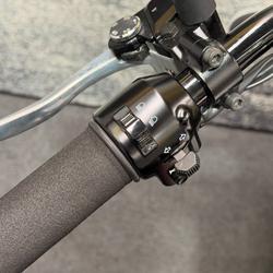 2021 Kawasaki W800 STREET (EJ800) Black