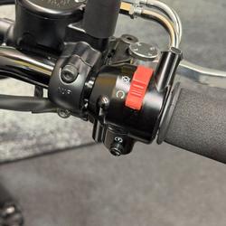 2021 Kawasaki W800 STREET (EJ800) Black