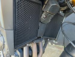 2023 Triumph TIGER 900 RALLY WHITE