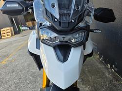 2023 Triumph TIGER 900 RALLY WHITE