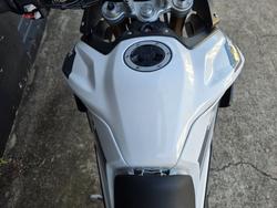 2023 Triumph TIGER 900 RALLY WHITE