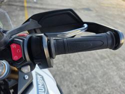 2023 Triumph TIGER 900 RALLY WHITE