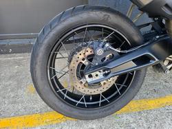 2023 Triumph TIGER 900 RALLY WHITE