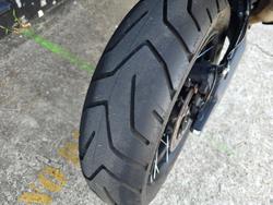 2023 Triumph TIGER 900 RALLY WHITE