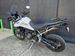 2023 Triumph TIGER 900 RALLY WHITE