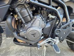 2023 Triumph TIGER 900 RALLY WHITE